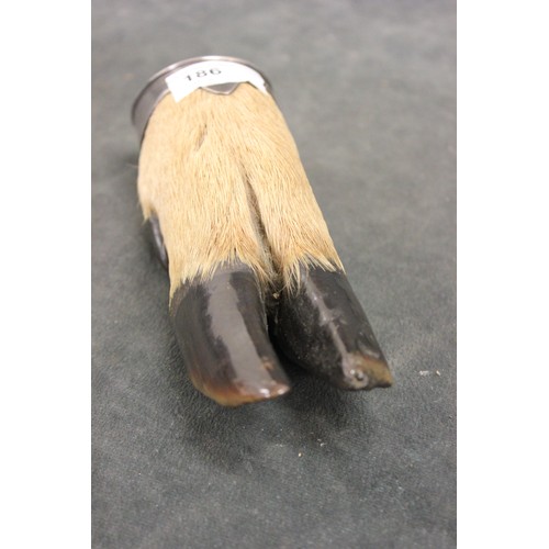 186 - A hunting trophy paper weight of deer foot form, with silver-plated mount inscribed 