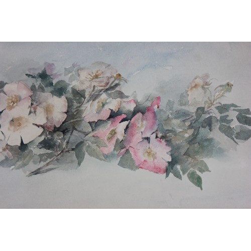 112 - Esther L. Coffin - three still life watercolours of flowers, 26cm x 43cm, 24cm x 53cm, and 36cm x 54... 