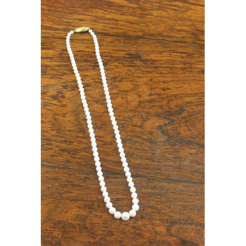 51 - A single strand Akoya Japanese cultured pearl necklace, 44cm long, with yellow-metal clasp (marks in... 