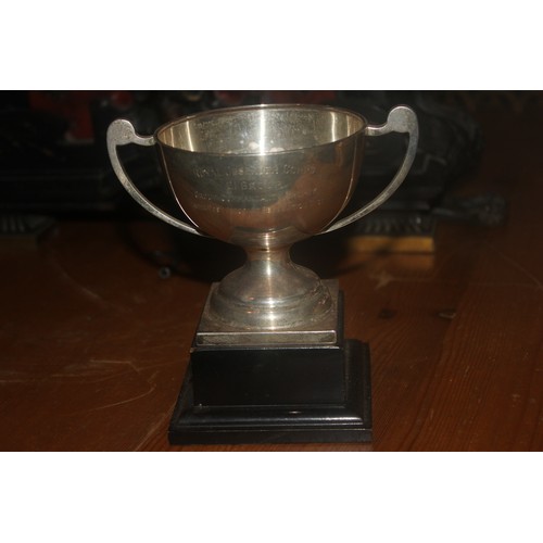 56 - A George V silver two-handled trophy cup, 