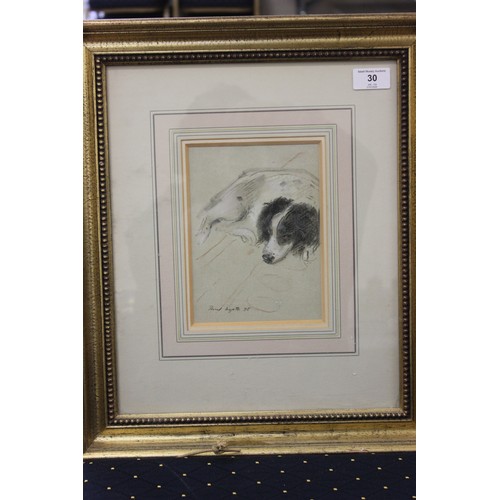 Lot 49        