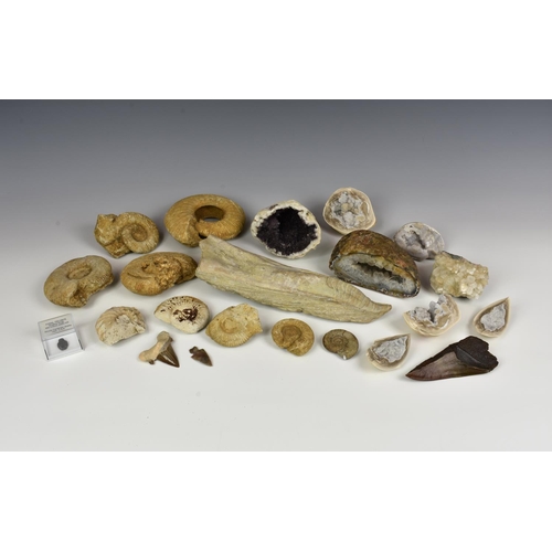 233 - A collection of fossils and minerals