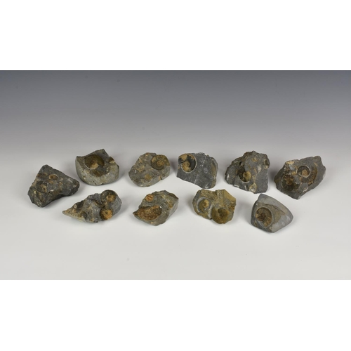 Lot 240       