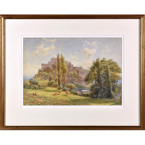 Lot 213       