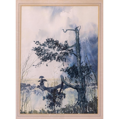 Lot 219       