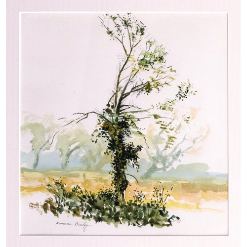 Lot 220       