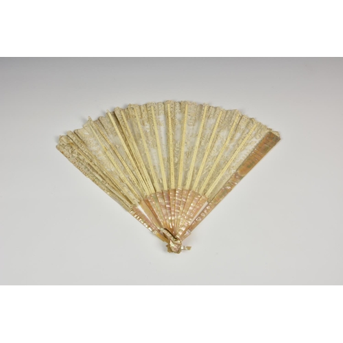 Lot 875       