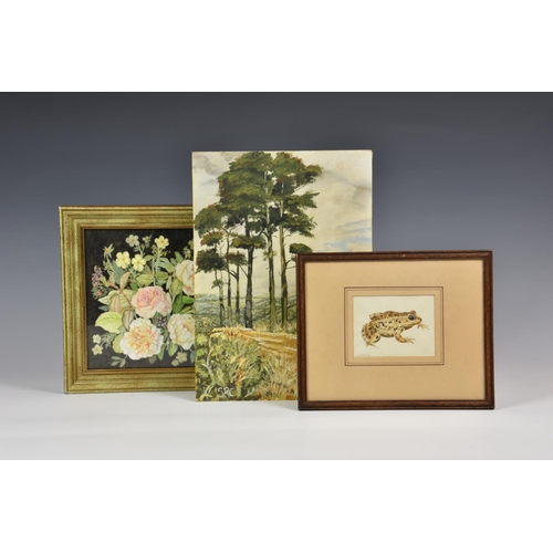 956 - Barbara McGirr (20th century), Study of a Common Toad, watercolour, signed and dated (19)83 lower l... 