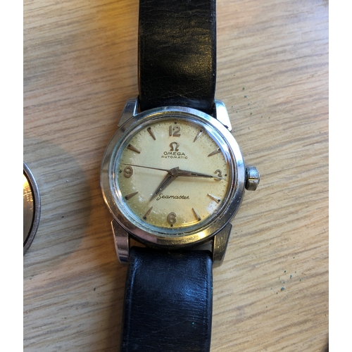 Lot 1009      