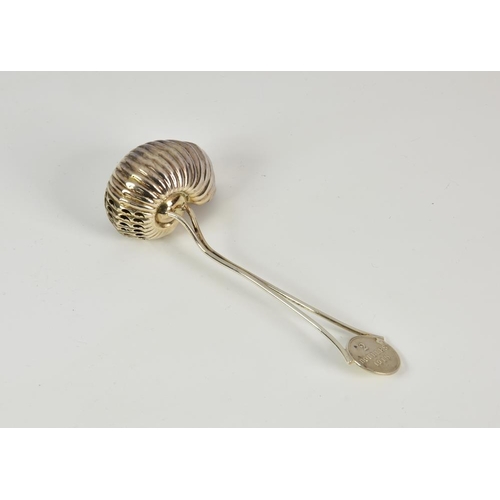 1006 - Channel Islands interest - an unusual silver plated nautilus shell sugar sifter spoon, the twin rod ... 