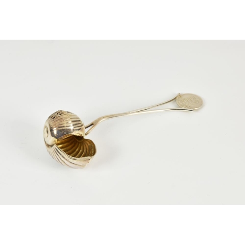 1006 - Channel Islands interest - an unusual silver plated nautilus shell sugar sifter spoon, the twin rod ... 