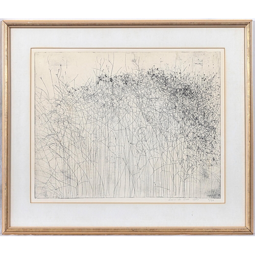 541 - Lukie de Bree (Dutch, b.1953), Flowering vine, etching, signed, dated 1981 and numbered 4/20 lower r... 