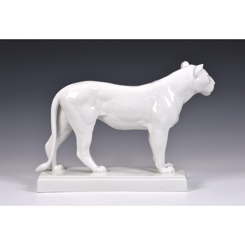 56 - A large Meissen white-glazed porcelain figure of a Lioness, 20th century, modelled by August Gaul, s... 