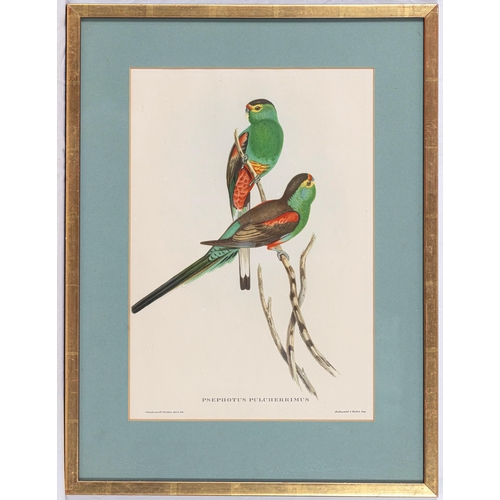 606 - After John Gould (British, 1804-1881), Seven photographic reproductions of coloured lithographs of e... 