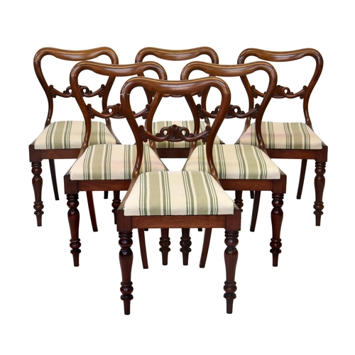 773 - A set of six Victorian walnut balloon back dining chairs, with pierced scroll backs and drop-in seat... 