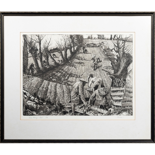 1748 - Patricia Miller (British, late 20th century), 'Potato Planting, Rozel', etching, signed in pencil lo... 