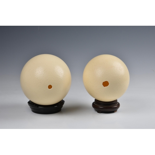 2074 - Two ostrich eggs, one 6¼in. (15.8cm.) long, the other 5½in. (14cm.) long. (2)  In good condition, wi... 