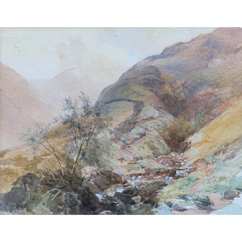 300 - Paul Jacob Naftel (British, 1817-1891), A mountain stream. * watercolour, heightened with white, sig... 