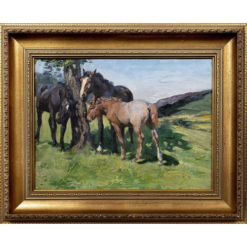 725 - Dorothy Adamson (British, 1893-1934), Three horses in a summer landscape. oil on canvas, signed and ... 