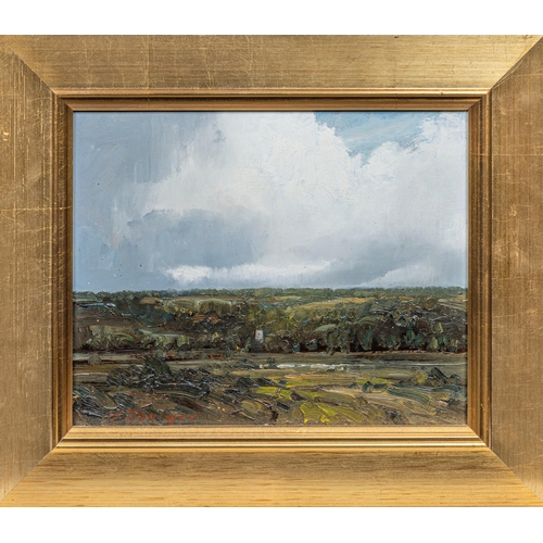 759 - John Foulger (British, 1943-2007), Vale of Dedham. oil on hardboard, signed lower left, titled on ... 