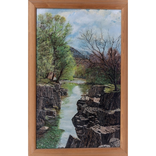 925 - English School, 20th century, River Landscape. oil on board, signed indistinctly, lower right and da... 