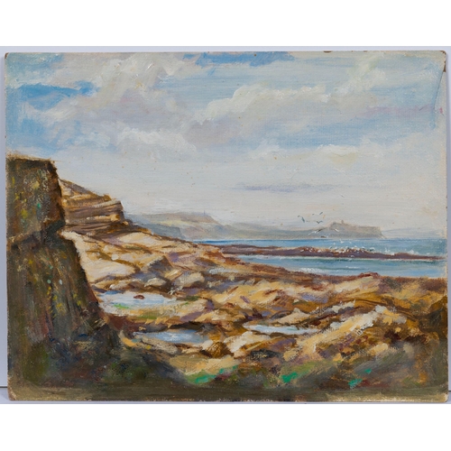 949 - Dennis S. Carhill (mid 20th century), a collection of nine landscapes and seascapes and bird studies... 