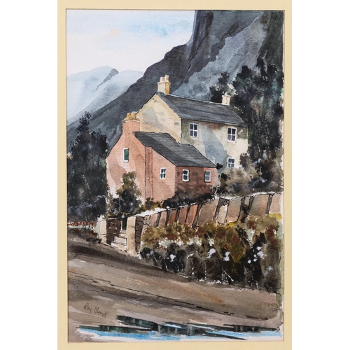 975 - Ray L Lloyd (British, late 20th century), Pallys Cottage Cader Idris'. ink and watercolour, signed ... 