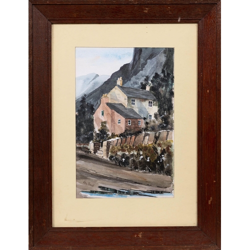 975 - Ray L Lloyd (British, late 20th century), Pallys Cottage Cader Idris'. ink and watercolour, signed ... 