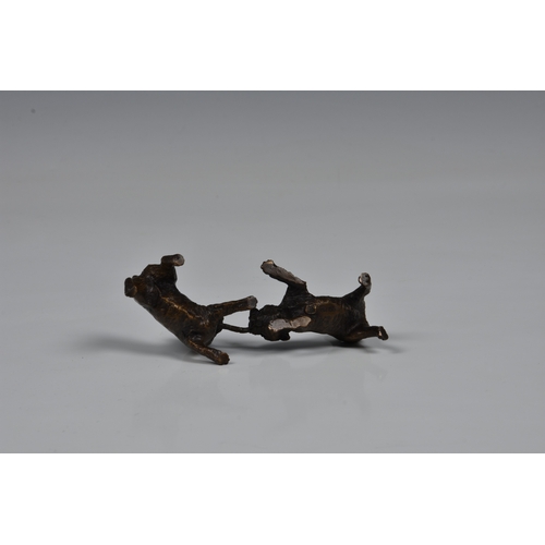 2158 - A miniature bronze of two Cairn Terriers, late 20th century, tusselling over a stick, mid-brown pati... 