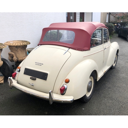 1770 - A 1960 Morris Minor Convertible, cream paintwork with red pinstripe, contrasting red interior and bo... 