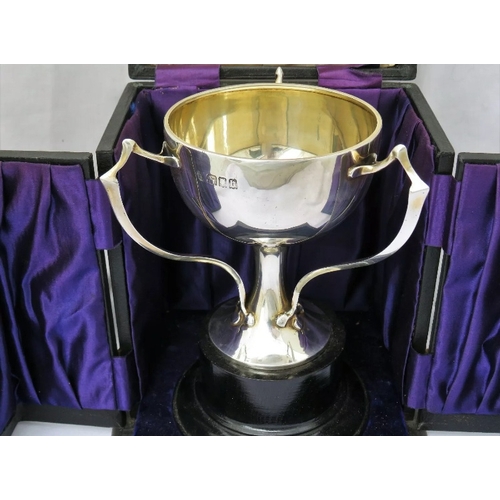 7 - A rare cased Art Nouveau silver three-handled trophy cup, Charles Bolton & Son Ltd., London 1917, th... 