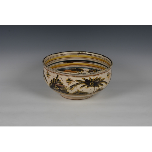 13 - A large Talavera or Puente del Arzobispo Spanish majolica bowl, probably early 18th century, the wel... 