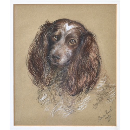 653 - Edith Honor Earl (British, 1901-1996), Spaniel and Labrador, pair of pastels on paper, both signed a... 