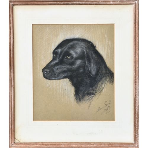 653 - Edith Honor Earl (British, 1901-1996), Spaniel and Labrador, pair of pastels on paper, both signed a... 