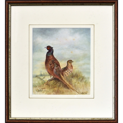 656 - F. Whitford (British, late 20th century), "Pheasants", watercolour, signed and dated 1991 ... 