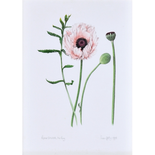 664 - Susan Ogilvy (British, b.1948), "Oriental Poppy", watercolour, signed and dated 1994, titl... 