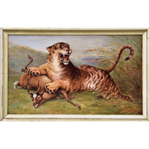 685 - Alfred Moginie Bryant (British, exhibited 1879-1907), Tiger attacking an Antelope, oil on artist's b... 