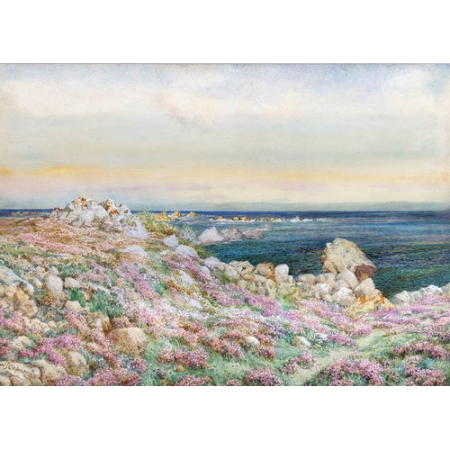 206 - William John Caparne (British, 1855-1940), 'Sea Pink and Sea Purple', watercolour, heightened with w... 