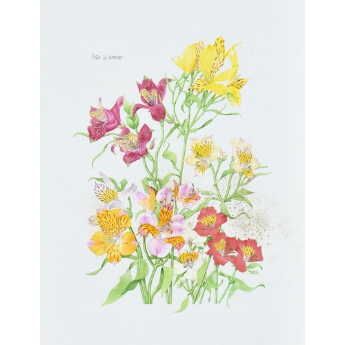 259 - Peter Le Vasseur (Guernsey, b.1938), Tiger lilies, gouache on canvas board, signed upper left, 17½ x... 