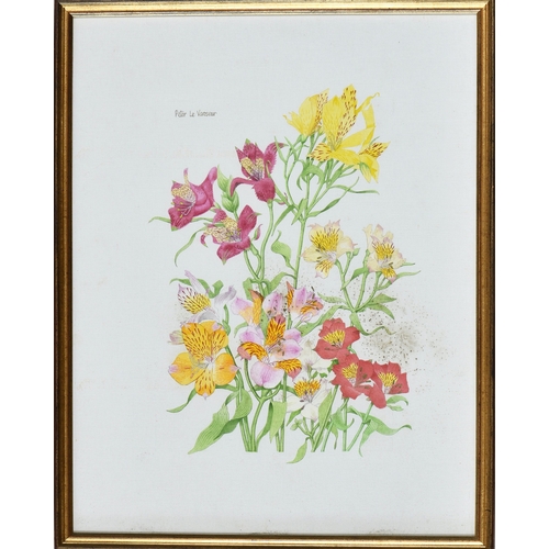 259 - Peter Le Vasseur (Guernsey, b.1938), Tiger lilies, gouache on canvas board, signed upper left, 17½ x... 