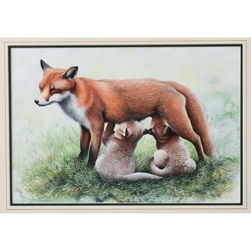 270 - Nick Parlett (Jersey, 20th, 21st century), Vixen and Cubs, watercolour and body colour, signed lower... 