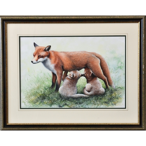 270 - Nick Parlett (Jersey, 20th, 21st century), Vixen and Cubs, watercolour and body colour, signed lower... 