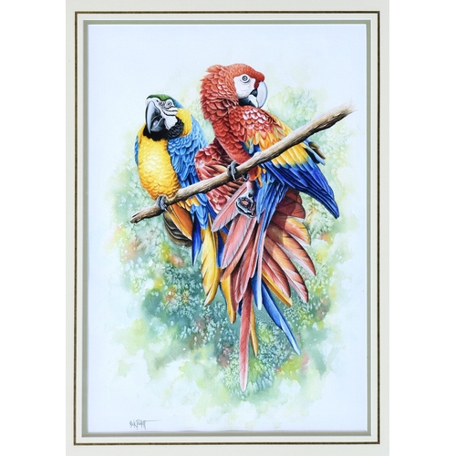 272 - Nick Parlett (Jersey, 20th, 21st century), Pair of parrots on a branch, watercolour and gouache, sig... 