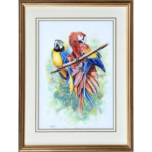 272 - Nick Parlett (Jersey, 20th, 21st century), Pair of parrots on a branch, watercolour and gouache, sig... 