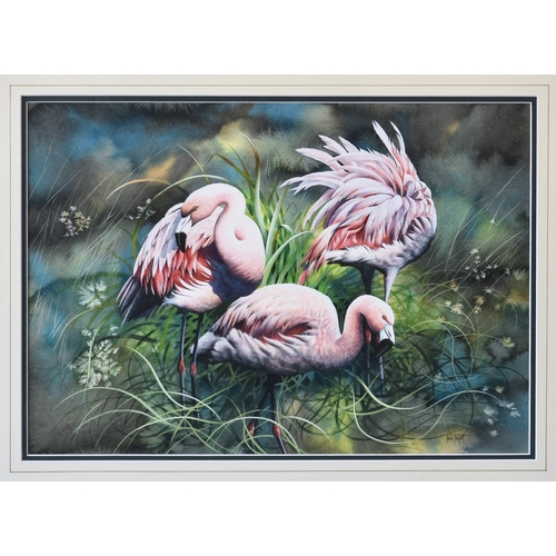 275 - Nick Parlett (Jersey, 20th, 21st century), Flamingos, watercolour and gouache, signed lower left, fr... 