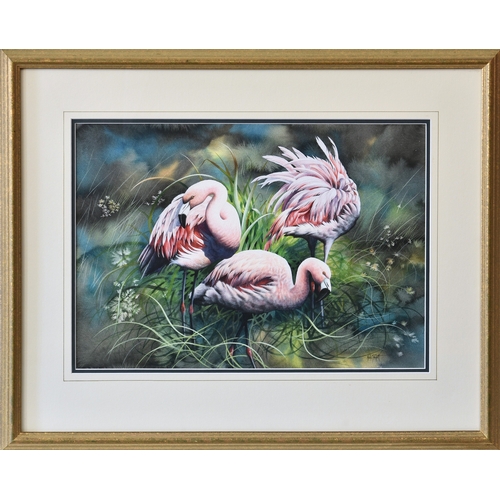 275 - Nick Parlett (Jersey, 20th, 21st century), Flamingos, watercolour and gouache, signed lower left, fr... 