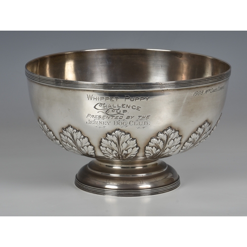 435 - Jersey Dog Club interest - a silver footed prize bowl, Edward Barnard & Sons Ltd., London 1907, circ... 