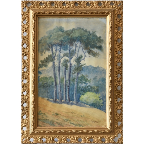 475 - John Hobson Nicholson RI (British, 1911-1988), Pine Trees, watercolour, signed lower right, framed 1... 