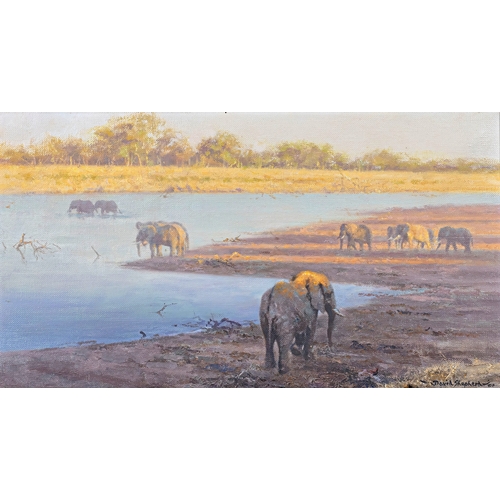 539 - David Shepherd CBE, OBE, FRSA, FGRA (British, 1931-2017), Elephants at the Watering Hole, oil on can... 