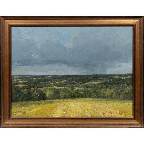 583 - John Foulger (British, 1943-2007), View of the Arun Valley, (Sussex), oil on chipboard, signed low... 